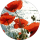 Laura Flower Profile Photo